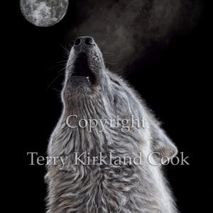 Fine Art Giclee Print &quot;Moon Song&quot; by Terry Kirkland Cook on Fine Art Paper or Canvas