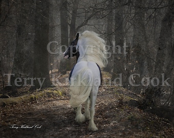The Midnight Cry ~ Copyrighted Photograph by Terry Kirkland Cook