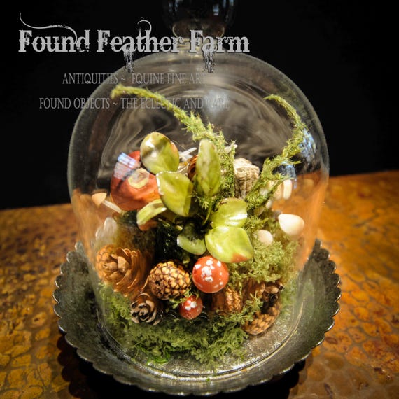 French Cloche with Nuts and Cones and Forest Mushrooms