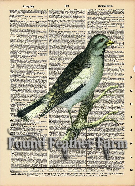Vintage Antique Dictionary Page with Antique Print "Blue Bird"