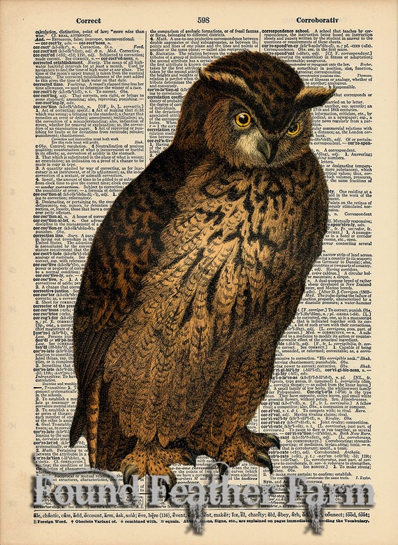 Vintage Antique Dictionary Page with Antique Print "Owl Five"