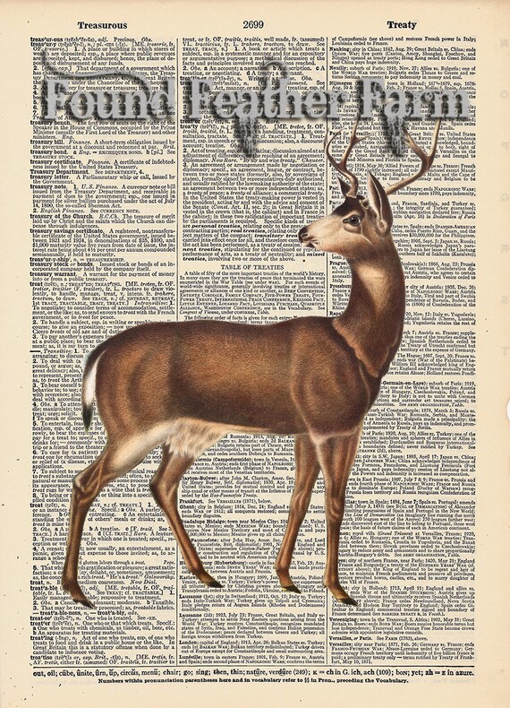 Vintage Antique Dictionary Page with Antique Print "Red Deer"