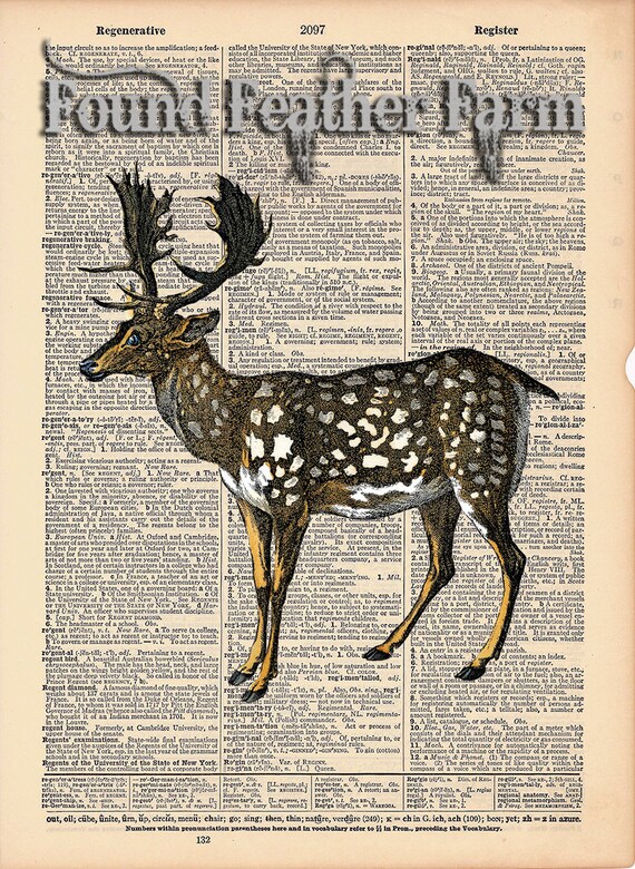 Vintage Antique Dictionary Page with Antique Print "Spotted Fallow Deer"