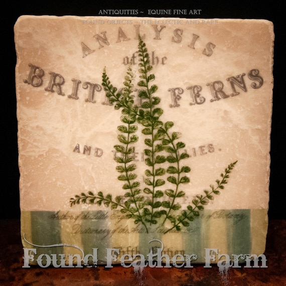 Tumbled Marble Stone Coasters with Vintage British Fern Images