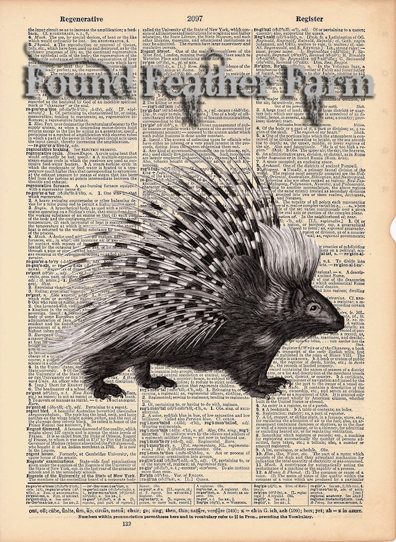 Vintage Antique Dictionary Page with Antique Print "Porcupine"