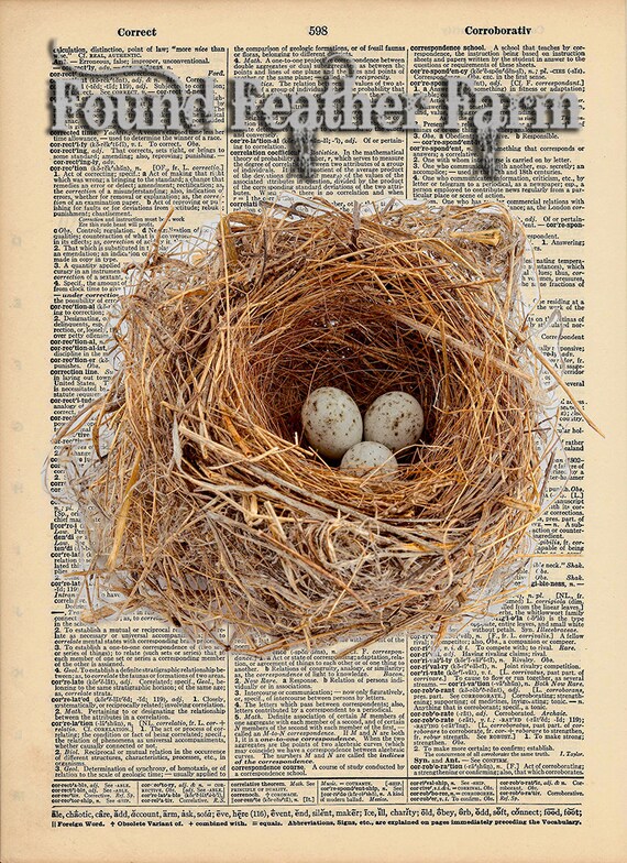 Vintage Antique Dictionary Page with Antique Print "The Nest"