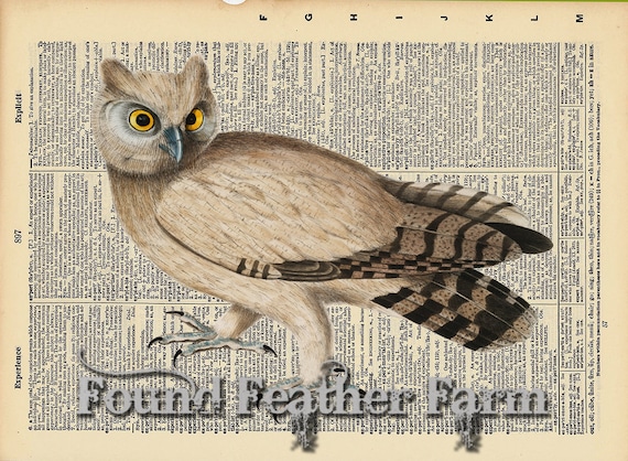 Vintage Antique Dictionary Page with Antique Print "Owl Six"
