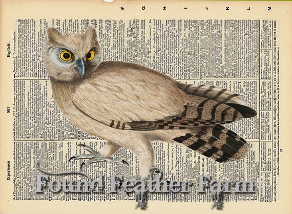 Vintage Antique Dictionary Page with Antique Print "Owl Six"