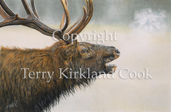 The Monarch ~ Fine Art Giclee Print of an Original Copyrighted Painting by Terry Kirkland Cook