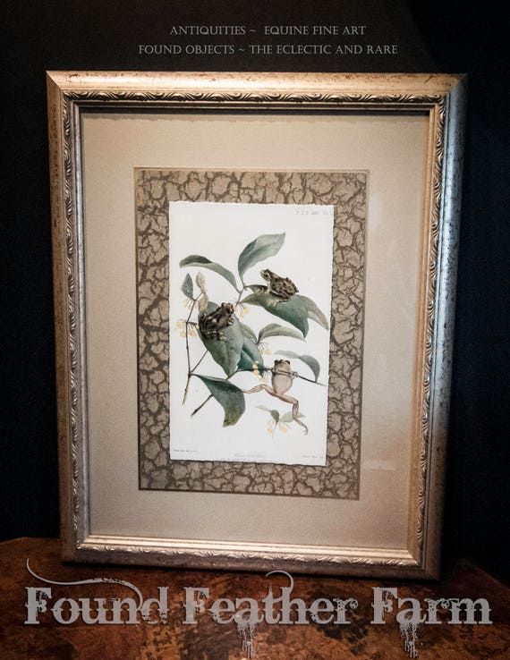 Vintage Framed Trio of Frogs Lithograph