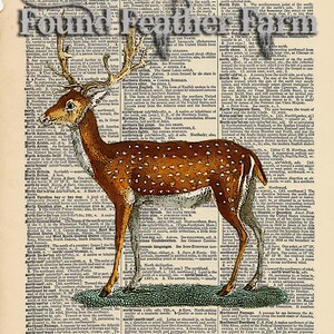 Vintage Antique Dictionary Page with Antique Print &quot;Fallow Deer Two&quot;