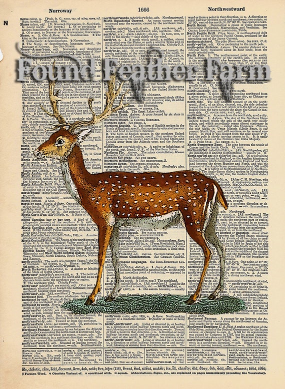 Vintage Antique Dictionary Page with Antique Print "Fallow Deer Two"