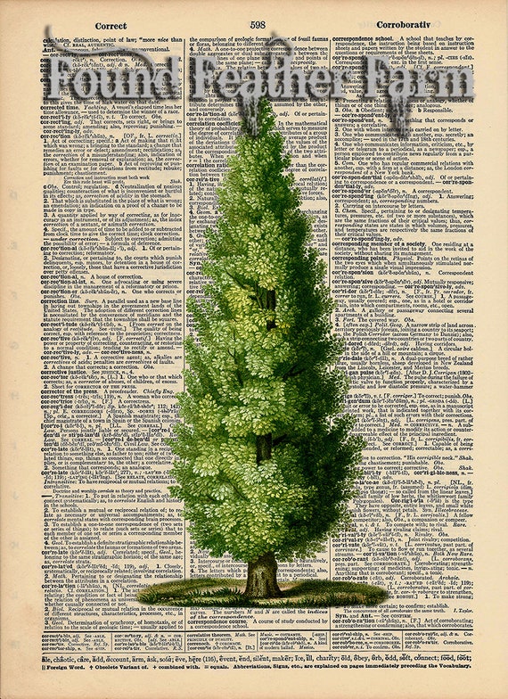 Vintage Antique Dictionary Page with Antique Print "The Towering Tree"