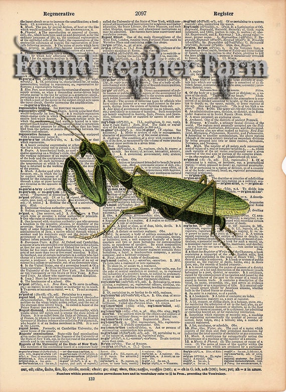 Vintage Antique Dictionary Page with Antique Print "Praying Mantis"