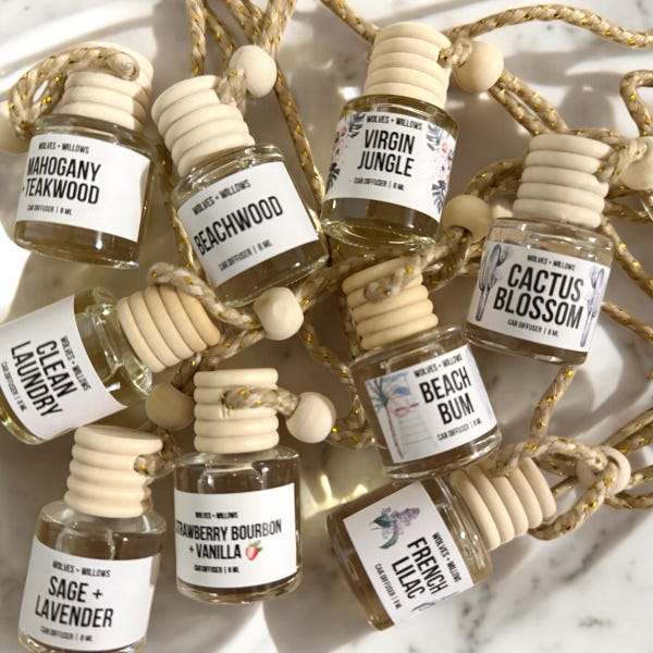 Car Air Freshener Car Diffuser Hanging Car Freshener New Car Gift Hanging Car Diffuser Car Accessories Car Freshies Car Air Freshner