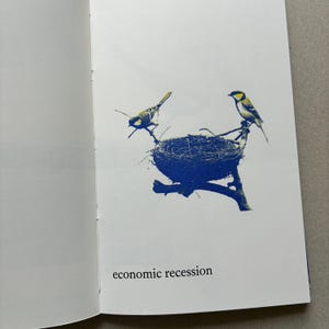K&ouml;nnte beinhalten: Offene Buchseite mit einer blauen Illustration von zwei V&ouml;geln in der N&auml;he eines Nestes auf einem Ast. Der Text "economic recession" ist darunter in Schwarz gedruckt.