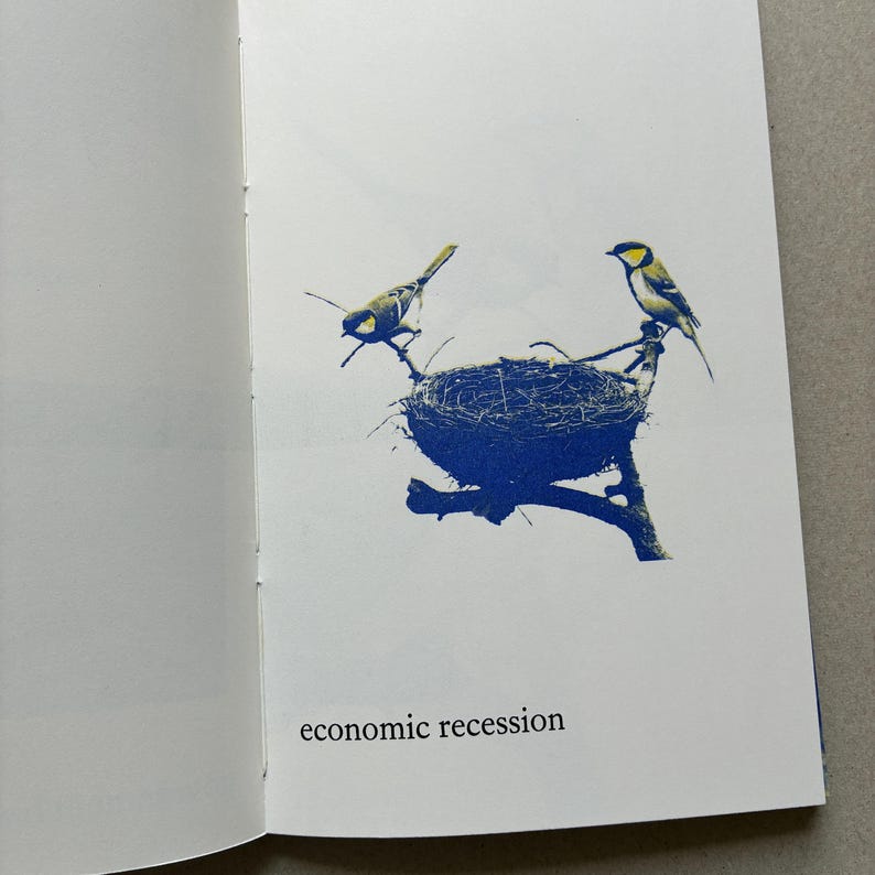 K&ouml;nnte beinhalten: Offene Buchseite mit einer blauen Illustration von zwei V&ouml;geln in der N&auml;he eines Nestes auf einem Ast. Der Text "economic recession" ist darunter in Schwarz gedruckt.