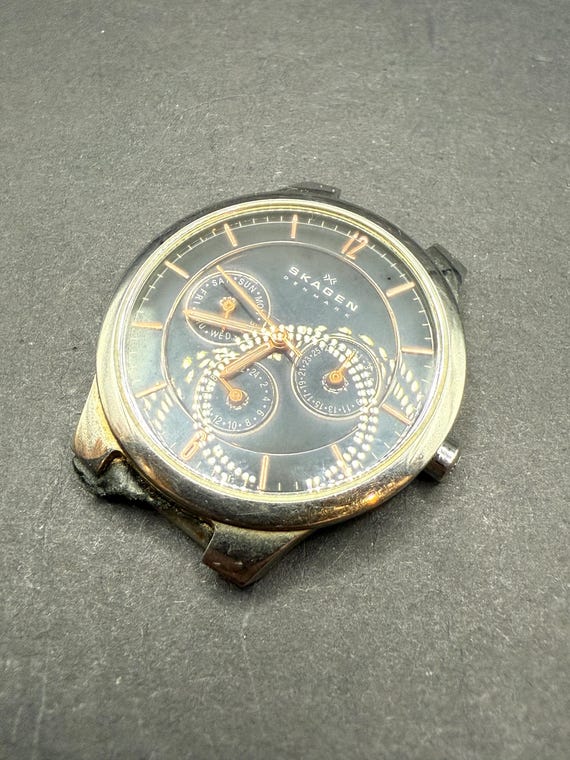 Skagen Watch