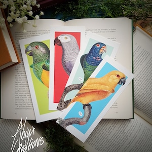Parrot Bird Bookmark Set - Colourful Gift - Book - Reading - Pagemarker - Colorful Marker - Nature - Vintage