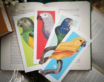 Parrot Bird Bookmark Set - Colourful Gift - Book - Reading - Pagemarker - Colorful Marker - Nature - Vintage