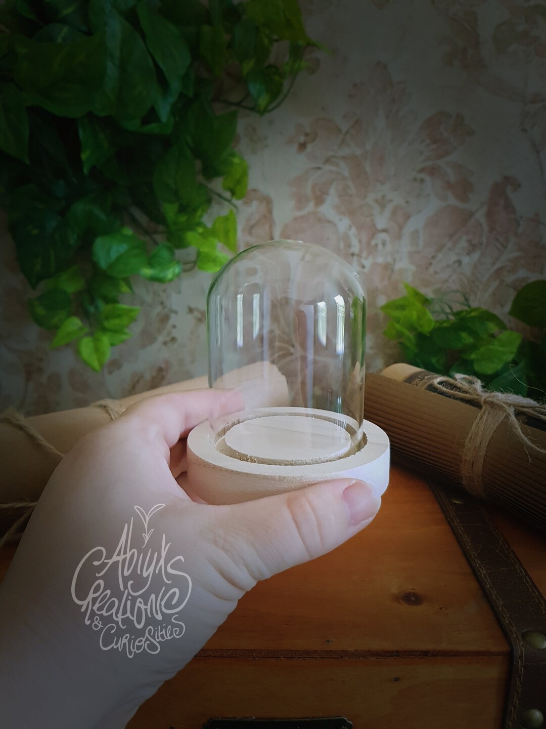 Glass Dome Cloche Wood Base Diorama Collectible Display Case Terrarium Craft Supplies CUSTOM