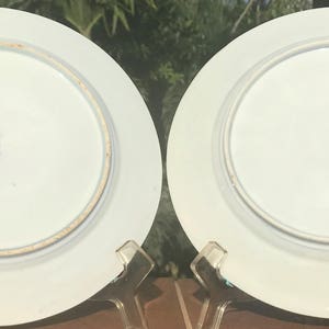 1800's TWO Plates #A Signed Dainippon Hizen Arita Aoki-sei 染付 Sometsuke 阿蘭陀海芋 Calla Lily Blossoms Dish Pair Floral Porcelain Wall Art Japan image 3