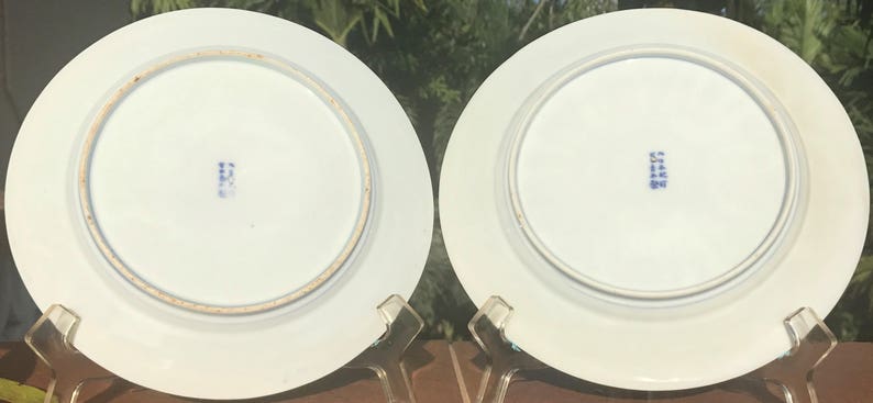 1800's TWO Plates #A Signed Dainippon Hizen Arita Aoki-sei 染付 Sometsuke 阿蘭陀海芋 Calla Lily Blossoms Dish Pair Floral Porcelain Wall Art Japan image 3