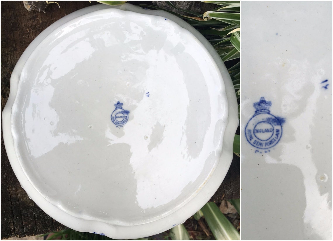 Ridgways Large Delft Tureen Delfts Blauw Soepterrine Molen Etsy