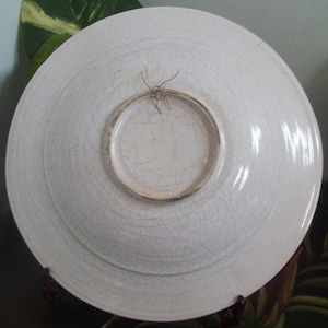 May include: The back of a white ceramic plate with a crackle glaze. A circular, unglazed area is visible in the center, with a wire for hanging. The plate is resting on a dark brown stand, with green foliage in the background.