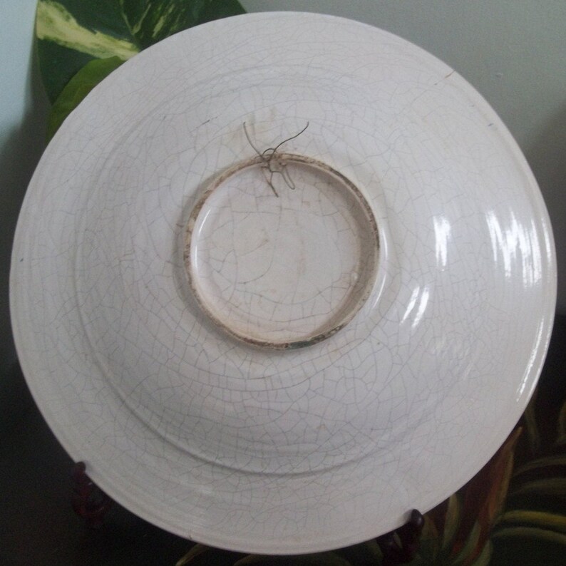 May include: The back of a white ceramic plate with a crackle glaze. A circular, unglazed area is visible in the center, with a wire for hanging. The plate is resting on a dark brown stand, with green foliage in the background.