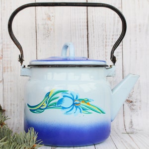 Op de afbeelding: Een blauwe en witte emaille theepot met een bloemenmotief. De theepot heeft een zwart metalen handvat en een blauwe deksel.