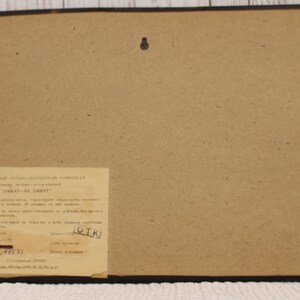 May include: A brown framed picture with a white label on the bottom right corner. The label has text in Russian and includes the words "ЗАКАТ-НЕ ЗАКАТ?" and "ЛОИК!"