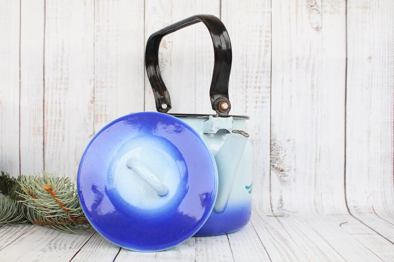 Op de afbeelding: Een blauwe en witte emaille theepot met een zwart handvat en een blauwe deksel. De theepot heeft een witte achtergrond met een blauw verloopontwerp en een bloemenpatroon.