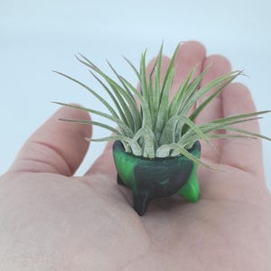 May include: A small air plant in a green and black decorative pot with three legs. The plant has long, thin, green leaves. The pot is held in an open hand against a white background.