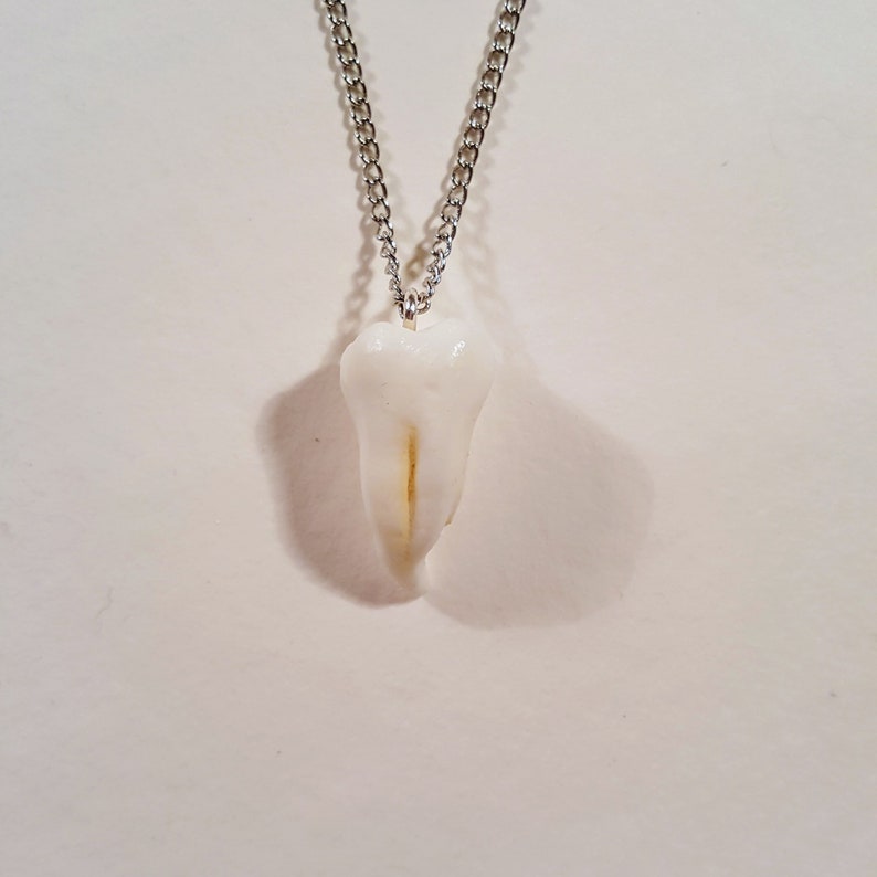 Wisdom tooth necklace