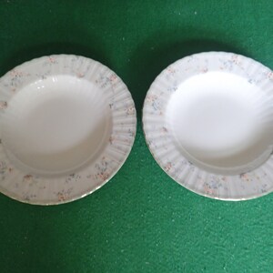 Mikasa Roselle L9813 Japan 2 Large Rim 9” Soup Bowl