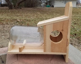 Squirrel Feeder Jar Etsy