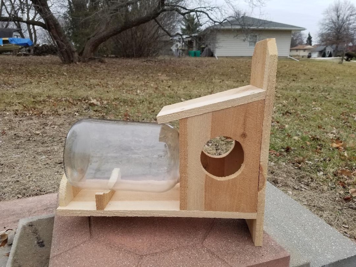Hanging Cedar and Gallon Glass Jar Squirrel Feeder Etsy