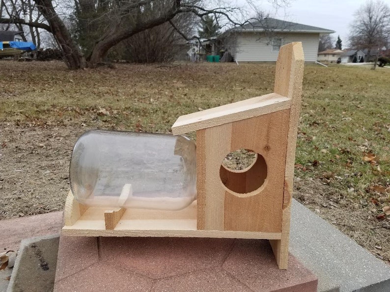 Hanging Cedar and Gallon Glass Jar Squirrel Feeder image 1