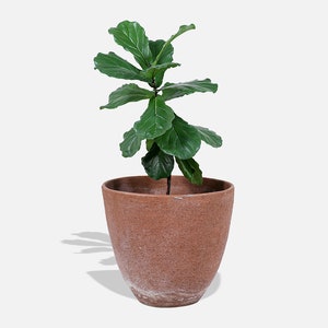 Monumental Stan Bitters Stoneware Ceramic Planter for Hans Sumpf