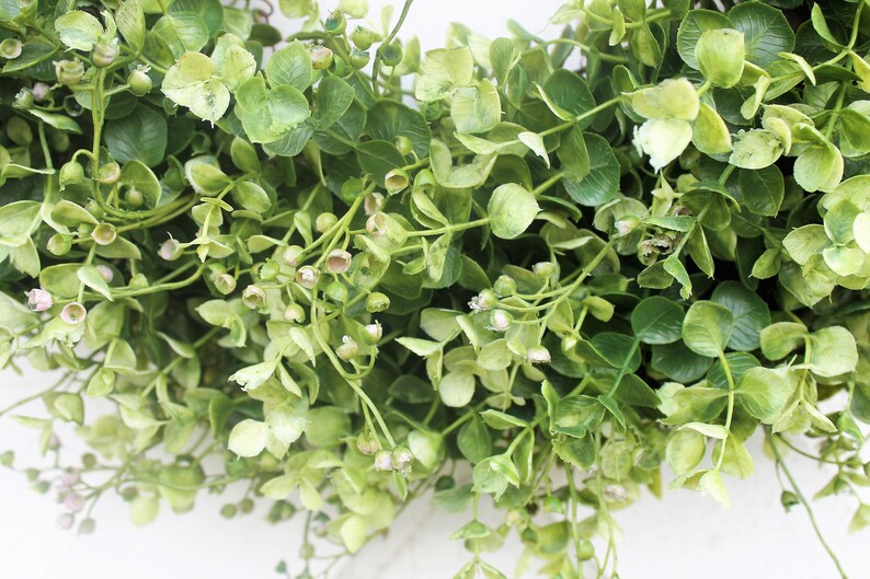 St. Patrick's Day Wreath Green Irish Front Door Wreath Etsy