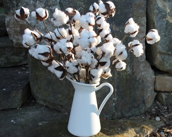 Cotton Stems, Set of 5-20" Cotton Branches, Farmhouse Cotton Bolls, Rustic White Wedding Decor, Boho Floral Decor, 2nd Anniversary Gift