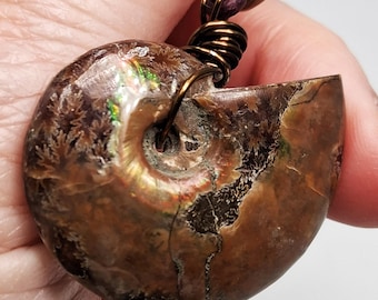 May include: A brown ammonite fossil pendant featuring iridescent green and gold highlights, secured with a dark bronze wire wrap. The pendant hangs from a dark purple cord accented by a single faceted metallic bead. The text MellonWineDesign is visible.