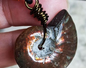 May include: A brown ammonite fossil pendant with iridescent highlights, suspended by a dark metal wire coil. The pendant features a small hole for the wire and is accented by an amber-colored bead. The text MellonWineDesign is visible.