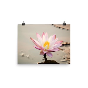 Photo print - Lotus Flower - Nature photography - Wall Art