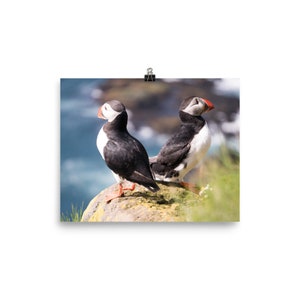 Photo print - puffins on a cliff - bird photography - wall art.