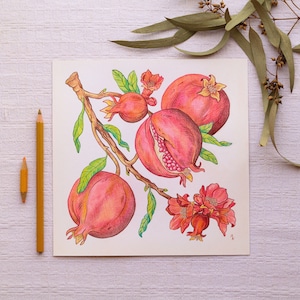Granatapfelzweig - Originale Farbstiftzeichnung - Handgezeichnete Illustration Rote Früchte, Italienische Küche Wandkunst, Mediterran