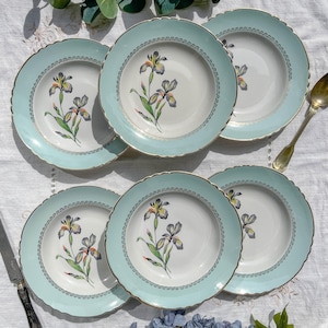 6 Vintage white and green porcelain soup plates Iris Moulin des Loups &quot;Sargosse&quot; 1950s - Vintage floral tableware