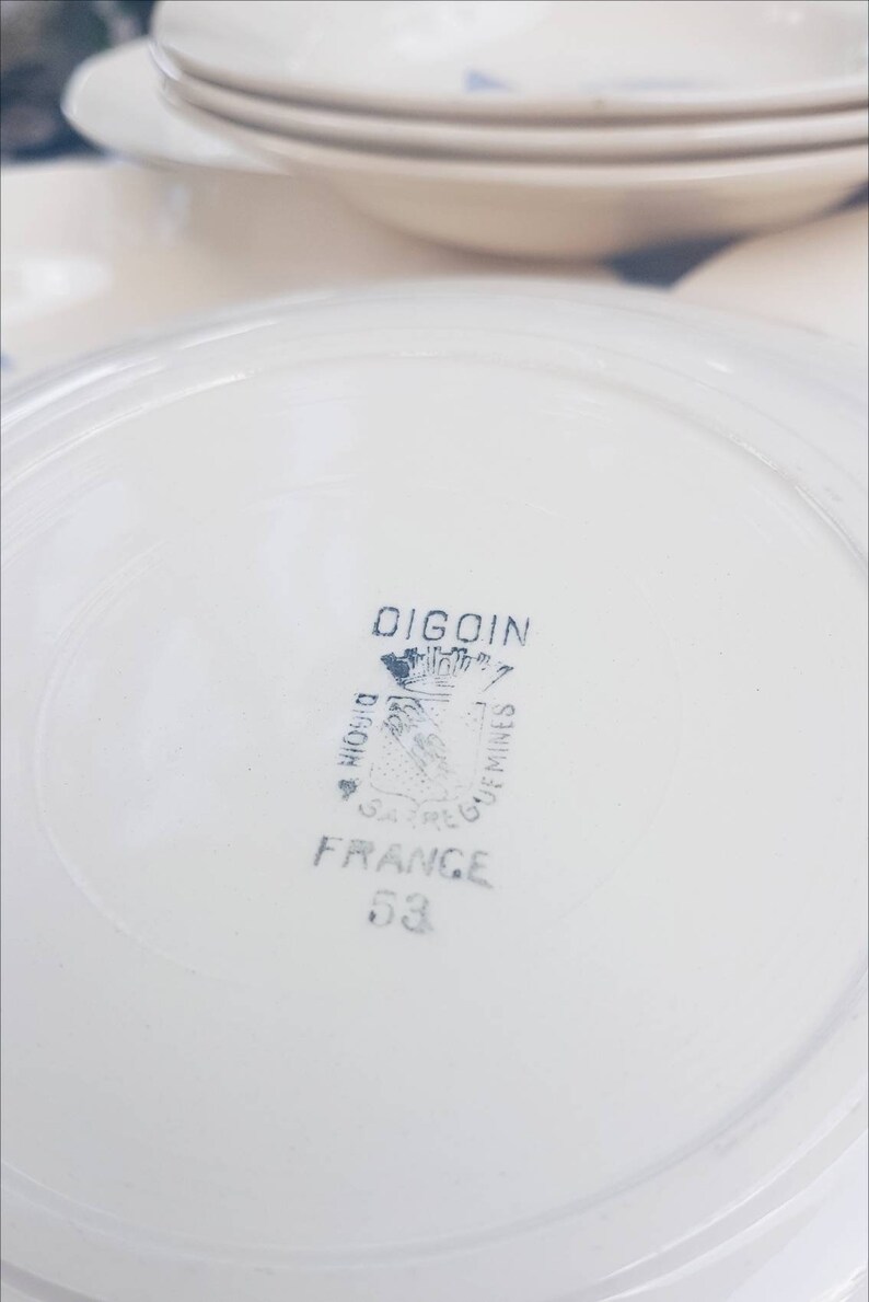 8 hollow plates Digoin Sarreguemines Blue Rose pattern Porcelain Model Cannes Vintage tableware Made in France Vintage tableware