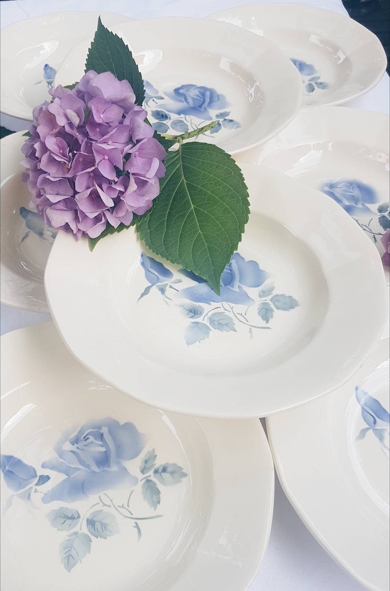 8 hollow plates Digoin Sarreguemines Blue Rose pattern Porcelain Model Cannes Vintage tableware Made in France Vintage tableware